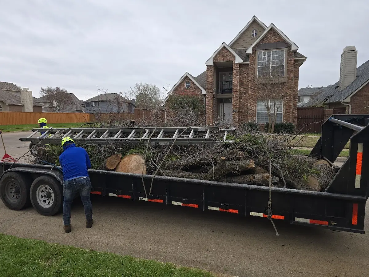 Expert Lot Clearing with proper safety equipment in Beaver Meadows